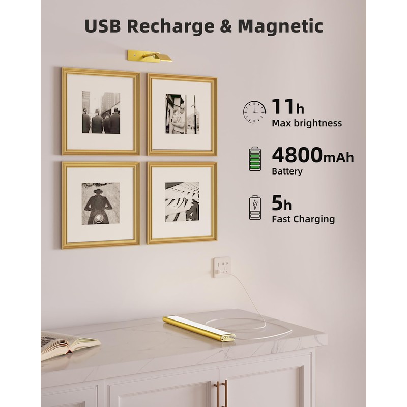 EZVALO Picture Light for Wall, 4800mAh Rechargeable Wireless Remote, 16in