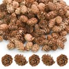 Bacucine Natural Pine Cones 200pcs Christmas Dried Flowers Dried Pine