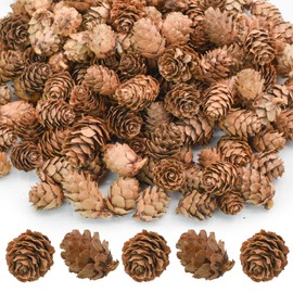 Bacucine Natural Pine Cones 200pcs Christmas Dried Flowers Dried Pine Cones Mini Pine Cone Christmas Tree Ornament Approx. L2.5~3.5cm Decoration Processed Present