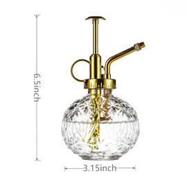 Aebor Glass Plant Mister Spray Bottle, 6.5" Clear Glass Water Spray Bottle with Gold Top Pump Small Watering Can, Small Plant Sprayer Mister for Indoor Outdoor House(Clear+Gold E)