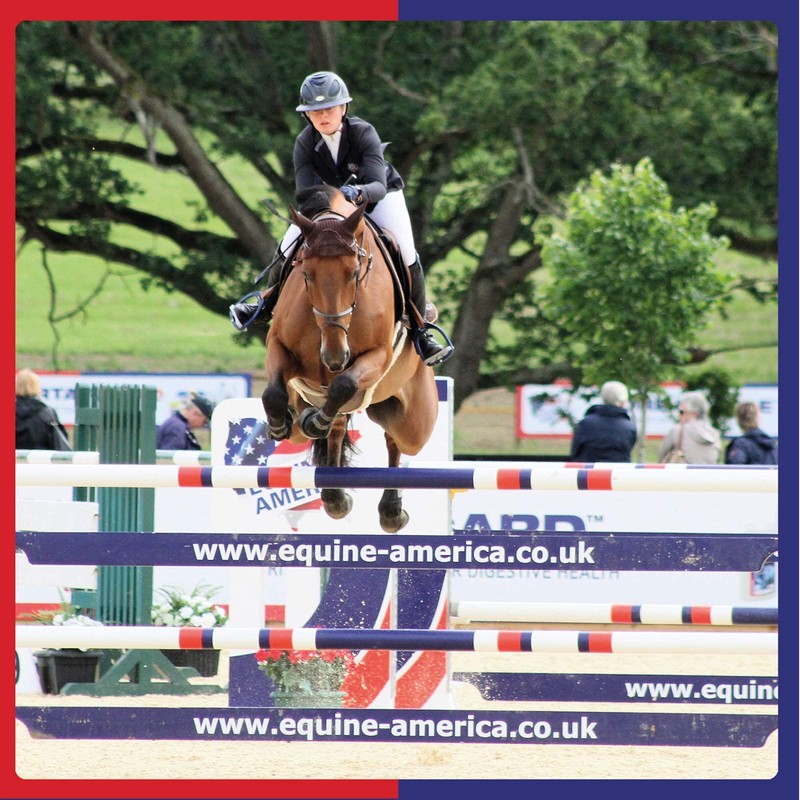 Equine America Buteless Original High Strength Powder | Premium Ready