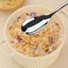 Wenkoni 6"Small Dessert Spoons, Yogurt Spoons,Coffee Spoons,Espresso Spoons,Ice Cream Spoons,SUS