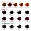 Tinte Permanente Profesional Colortech Nutrapel Tono 4.65 Borgoña / Castaño