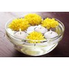 D'light Online Small 2 Inch Floating Candles Bulk Pack for