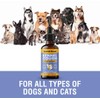 Cough Support for Dogs & Cats, Dry and Wet, Respiratory