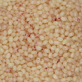 Smarty Stop Jelly Beans Every Flavor Candies (Tropical Punch, 2 Pound (Pack of 1))