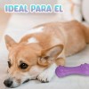 J.H. Company Juguete Hueso Para Perro Mordedera Flexible Sonido Jr1198