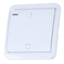 DWS-10T Wireless Wall Transmitter with 5-Way Timer 1-Channel Count-Down Timer DIW-Funk