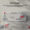Keychron OSA Profile Double-Shot PBT Side-Printed Keycap Set, 141 Keys,