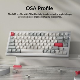 Keychron OSA Profile Double-Shot PBT Side-Printed Keycap Set, 141 Keys, MX Stem Compatible, Backlight Shine-Through – Fits ANSI 60%/65%/75%/TKL/96%/100% Layouts - White