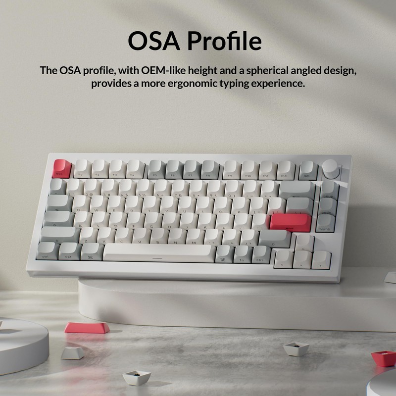 Keychron OSA Profile Double-Shot PBT Side-Printed Keycap Set, 141 Keys,