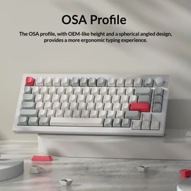 Keychron OSA Profile Double-Shot PBT Side-Printed Keycap Set, 141 Keys, MX Stem Compatible, Backlight Shine-Through – Fits ANSI 60%/65%/75%/TKL/96%/100% Layouts - White