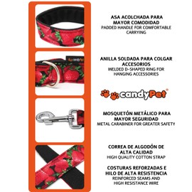 candyPet® Dog Leash - 120 cm Cotton with Softshell Padded Handle - Peacock