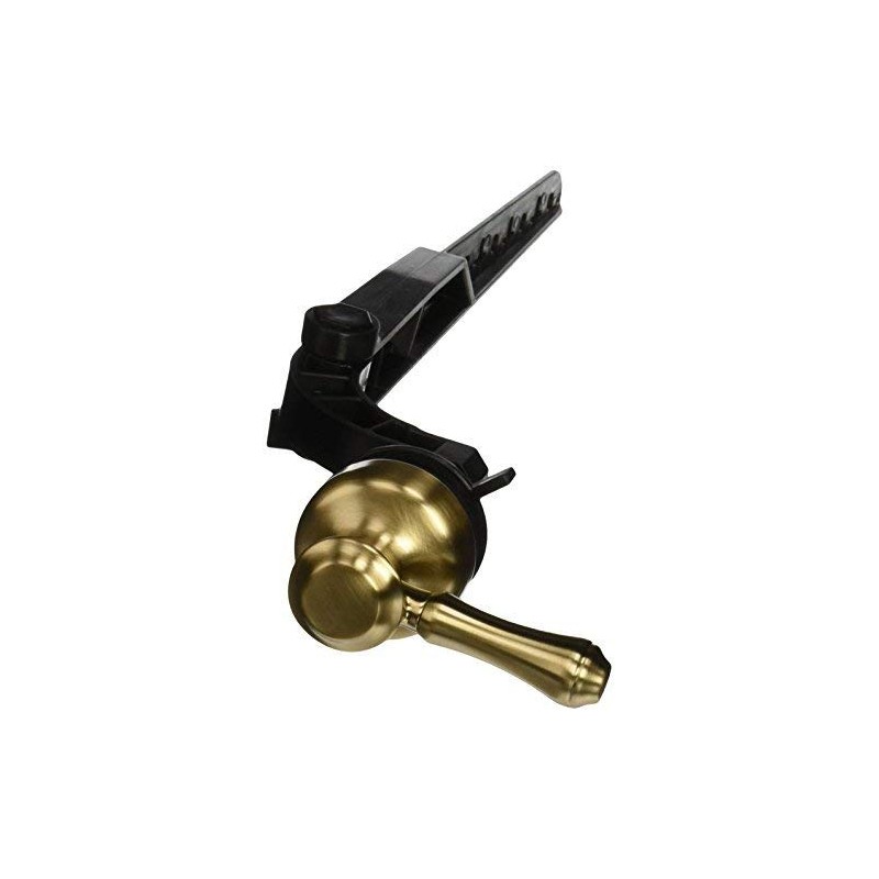 Delta Faucet 79760-CZ Cassidy Tank Lever-Standard Handle, Champagne Bronze