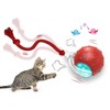 PetScope Interactive pet Toy for Indoor use with Motion Activated,
