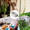 Cat Grass Pot | Organic Cat Grass Planter Tray |