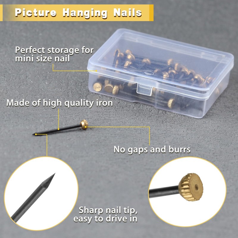 LEONTOOL Brass Nails, Round Head Screws, Pack of 60, Nominal