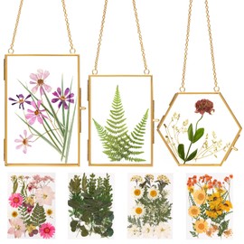 Double Glass Frame for Pressed Flowers - w/Real Dried Flowers and Tweezer for Handicrafts, Photo, or Other Small Flat Items