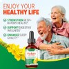 Extracto De Hojas De Gordolobo Para Los Pulmones: Gotas De