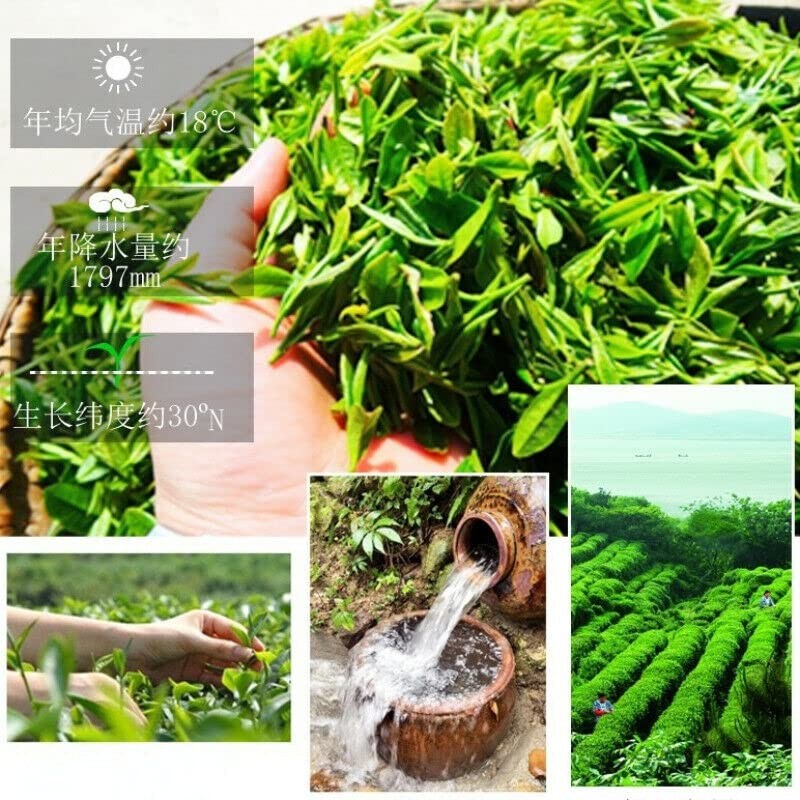 250g Biluochun Green Tea Chinese Gift Tea Specialty Tea Health