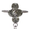 4Pcs Shoe Clips 4 Diamond Tassel Claw Chain Women's Boots