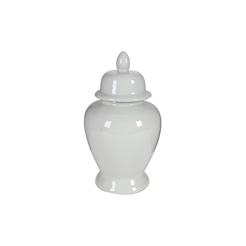 Benzara, White BM165656 Decorative Porcelain Ginger Jar with Lidded Top,