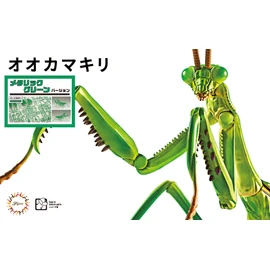 Fujimi Model Liberty Research Series No. 23 EX-3 Ikimono Edition Wolf Mantis (Metallic Green) Free Research-23 EX-3