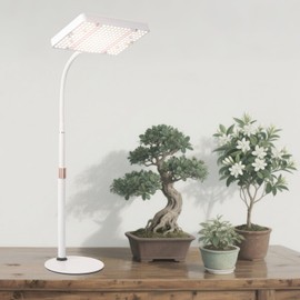 JINHONGTO 2Pack Desk Grow Light LED Full Spectrum UV IR, Veg Seed Starting Seedlings Bonsai Houseplant Plant Light, Table Top Grow Lights for Indoor Plants, 16"-24" Height Adjustable