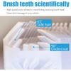 Ultrasonic Automatic Toothbrush, Auto Toothbrush for Adult, 360° Sonic Toothbrush