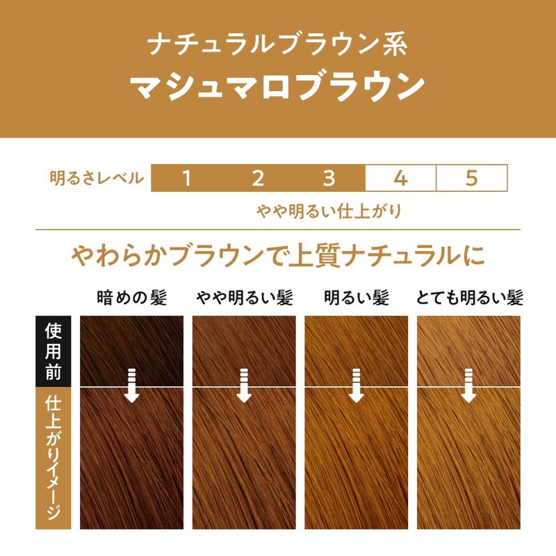 Liese Prettia Bubble Color Hair Dye