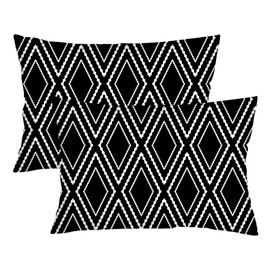 Black and White Throw Pillow Cover Queen Size Set of 2 Black Lumbar Pillow Case Boho Aztec Polyester Pillowcases Soft Standard Pillow Cases with Zipper Soft Decorative Cushion Covers for Bed,20"x30"