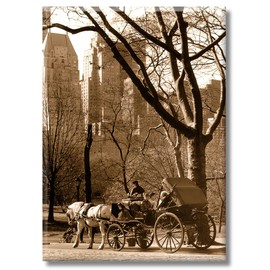 Central Park NYC Magnet – Horse Carriage Ride in Sepia – 3.5x2.5 Inch Metal Souvenir Fridge Magnet – Vintage New York Gift by ArtMalore