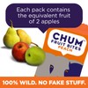 Chum Fruit Bites 100% Real Fruit Snacks | Peach, 40