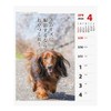 2026 Calendar Ducks Senryu (Weekly Turning)