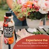 Great Big Roses – Soil and Rose Fertilizer Booster to
