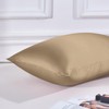 THXSILK Silk Pillowcase 40 x 60 cm - 100% Mulberry