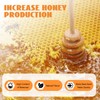 Beehive Waxed Coated Foundation Sheet 30PCS Honeycombs Bee Wax Nest