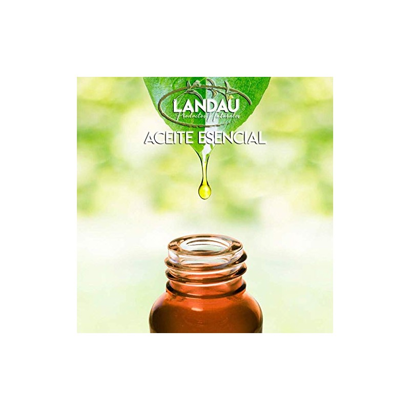 Migraña Aceite Esencial 30ml