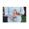 Ortho Home Defense Backyard Mosquito and Bug Killer Area Fogger