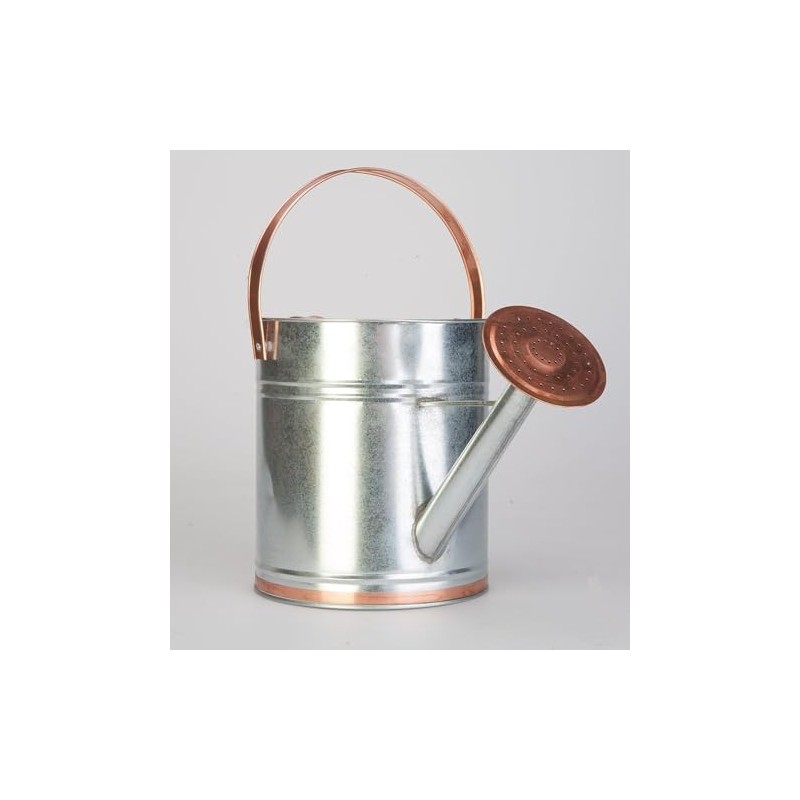 Plexon 2 Gallon Copper/Silver Galvanized Steel Watering Can, 9.5" D