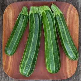 FUN AND GROW SEEDS: Seeds Cocozelle Zucchini Courgette Non GMO Heirloom