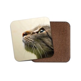 1 x Cats Face Coaster - Cat Kitten Tabby Eye Mum Auntie Sister #14389