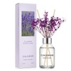 COCODOR Flower Reed Diffuser Set / 3.4oz / Garden Lavender/Scent