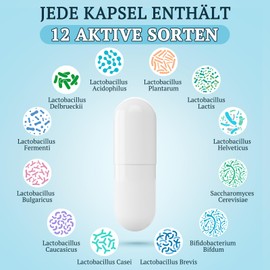 Probiotika Darmbakterien Kapseln Hochdosiert - 300 Mrd. KBE - 12 Bakterienstämme - Mit Inulin & Lebendkulturen - 60 Magensaftresistente Kapseln