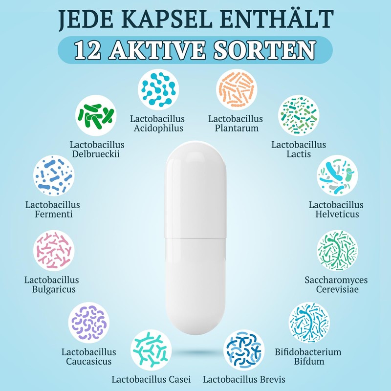 Probiotika Darmbakterien Kapseln Hochdosiert - 300 Mrd. KBE - 12