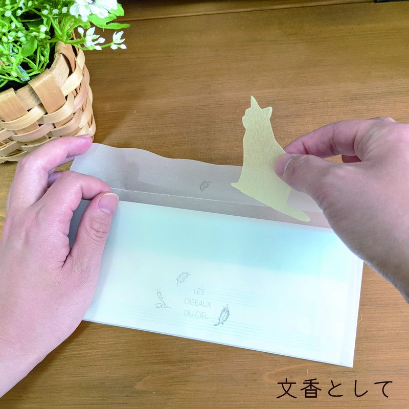 Fine FIN-931 Paper Soap, Pack of 20, Stroke Cat (Honey