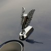 Hood Decoration for Trucks | Angel Wings Emblem Badge Auto