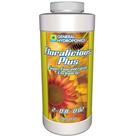 GH Floralicious Plus Pint (12/Cs)