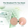 SKIN1004 Spot Cover Patch 22ea