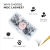 MDC LASHES MDC LASHES 500 Promades Eyelash Fans| 5D-20D, 0.03-0.05-0.07